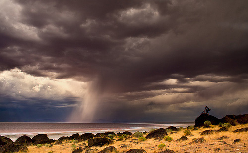 "Head Shot" (Location: Great Salt Lake, Utah) captured by Great Salt Lake Photographer