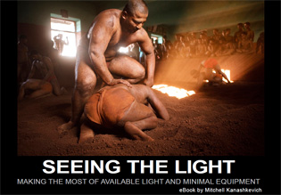 seeing the light ebook