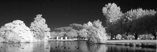 late afternoon infrared photo