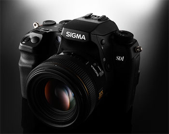 sigma sd1