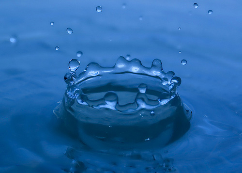 Water Droplet Photography Tips