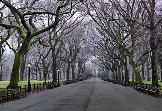 photographing parks