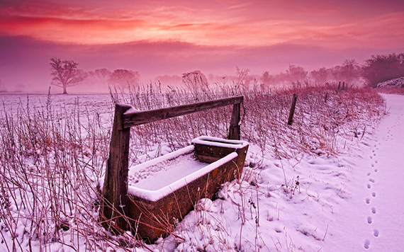 "Morning Frost" captured by Jimmy K. (Click image to see more from Jimmy K.)