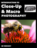 macro photography