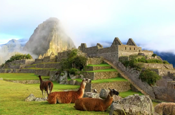 llama machu picchu temple mountain