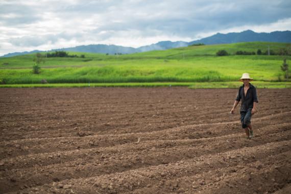 man-in-field