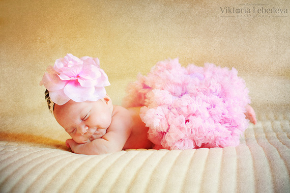 baby photography