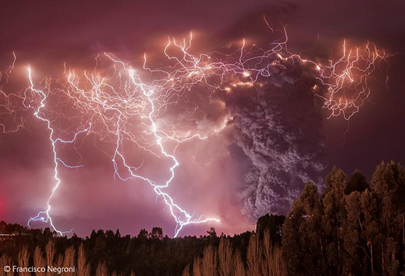 apocalypse lightning wildlife photographer of the year