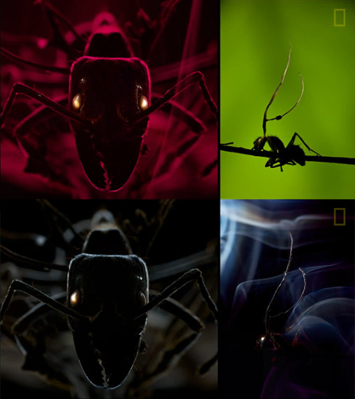 parasite photography timelapse anand varma