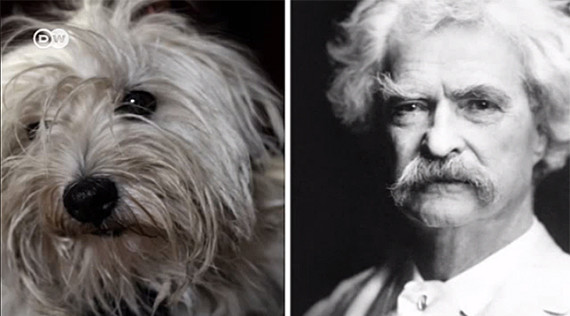 dog as mark twain photo