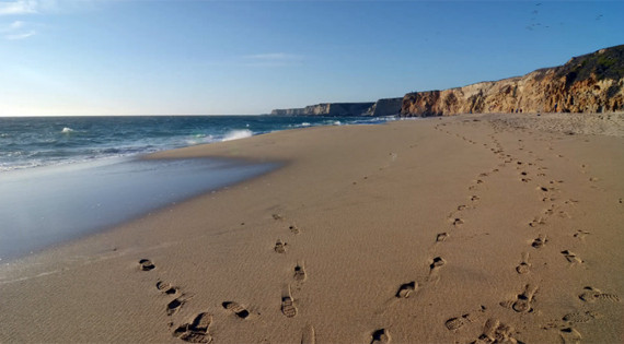 beach scene photo