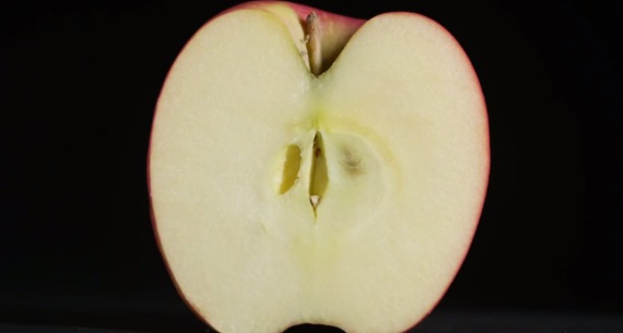 stop motion video cutting fruit and vegetables