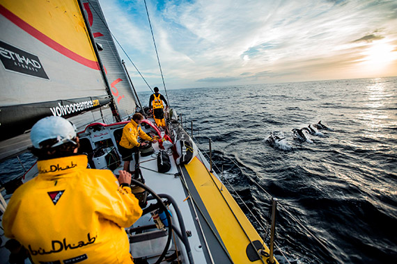 volvo ocean race