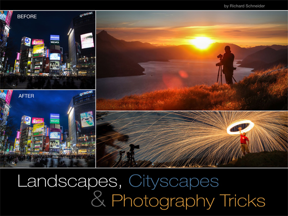 landscapes cityscapes cover