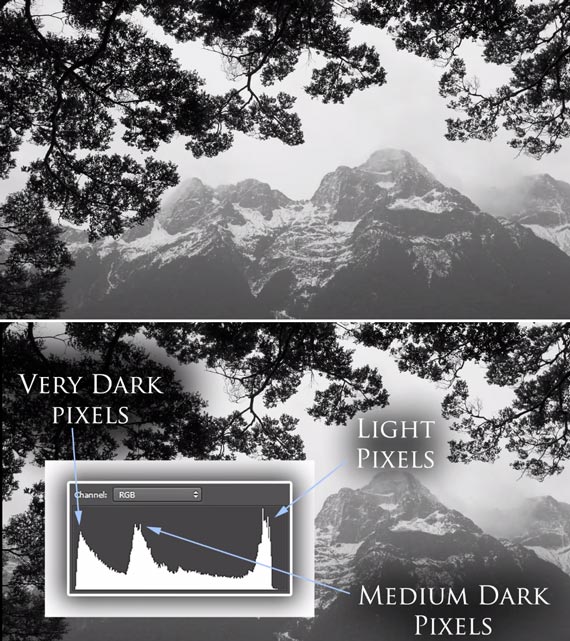 black and white photo histogram