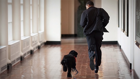 Pete Souza's photos of president 