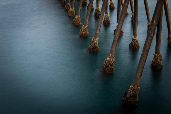 legs, water, long, exposure