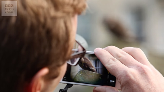 bird photography with a smartphone