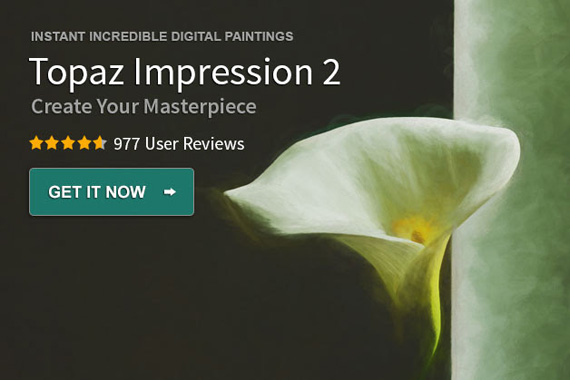 how topaz impression works