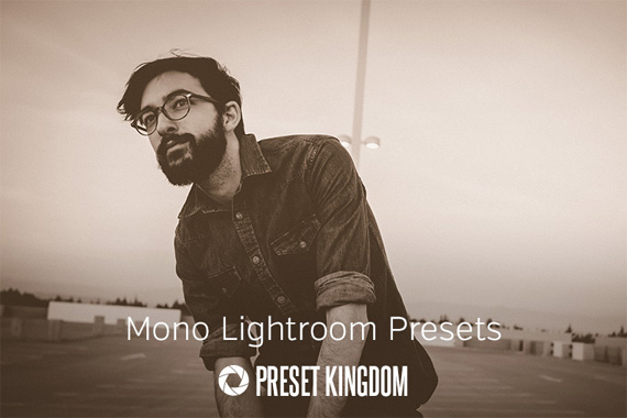 mono lightroom presets