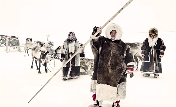 Nenets, reindeer