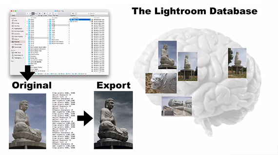 lightroom, confusion, export, image, phil, steele