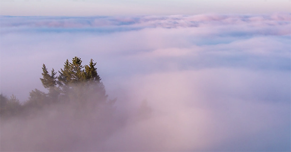 Mount Tamalpais foggy time-lapse