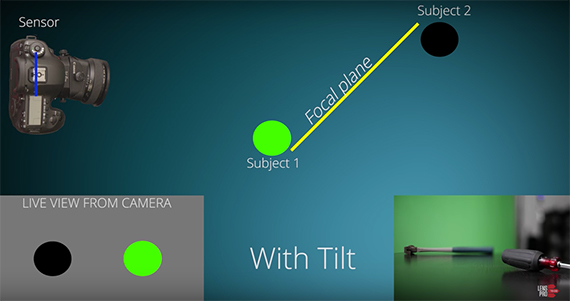 What is a Tilt Shift Lens? (How and Why to Use One)