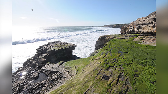 santa cruz seascape photo