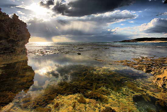 beach low angle landscape