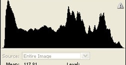 Histograms – An Aid to Checking Exposure