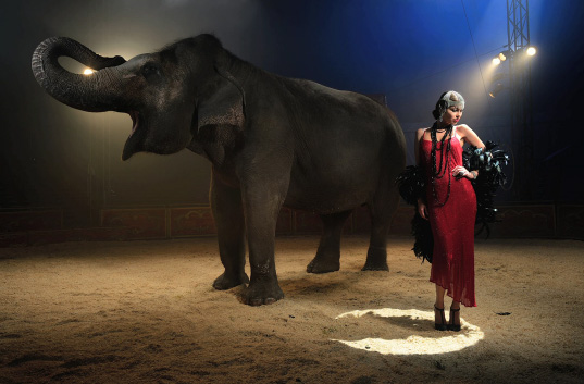 circus photography