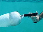 Interesting Photo of the Day: Underwater Gunshot