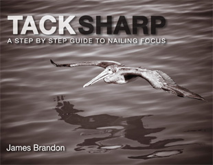 sharp photo guide