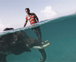 Interesting Photo of the Day: A Man and his Elephant