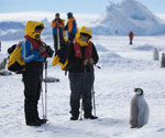 Interesting Photo of the Day: Friendly Penguin Chats with Antarctic Tourists