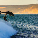 Interesting Photo of the Day: Perfectly-Timed Dolphin Races a Surfer