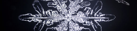 Amazing Microscopic Timelapse of Snowflakes Forming