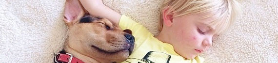 Adorable Photos of Boy and Puppy Napping Together Will Warm Your Heart