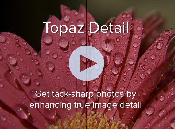 topaz detail vs on1 sharp