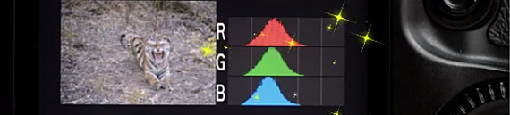 Demystifying Your Camera’s Histogram