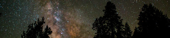 Star Trail Timelapse Photography in Sequoia & Kings Canyon National Parks