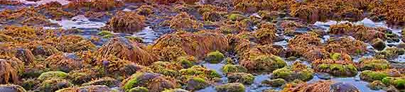 Interesting Photo of the Day: Iceland’s Dragon Rock