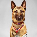 This Three Legged War Hero Will Win Your Heart