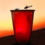 Interesting Photo of the Day: Ant vs. Helicopter