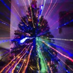 Interesting Photo of the Day: Christmas Tree Zoom