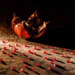 Interesting Photo of the Day: Pomegranate Still Life