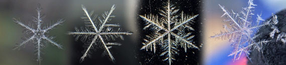 These Incredible Photos of Snowflakes Were Made With a Smartphone