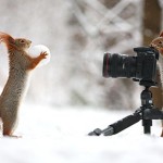 Interesting Photo of the Day: Red Squirrel Becomes the Photographer