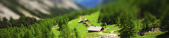 Tilt-Shift Photography: Tips to Get You Started